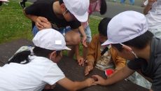 RIMG4652